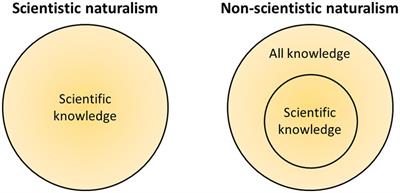 Naturalism and the hard problem of mysticism in psychedelic science